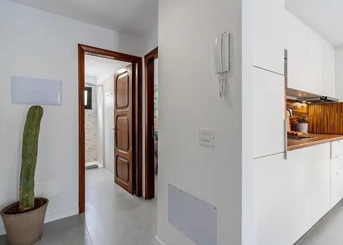 Stylish And Flat - Lejlighed Puerto de la Cruz (Tenerife)