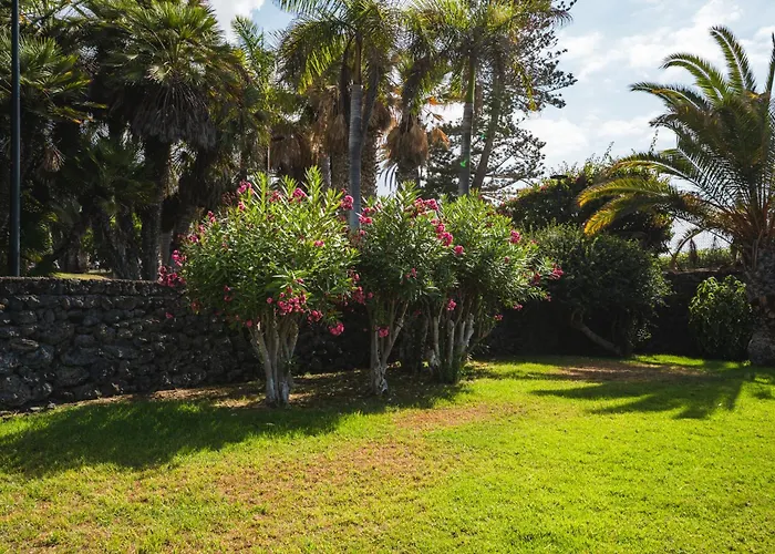 Stylish And Flat - Puerto de la Cruz (Tenerife)